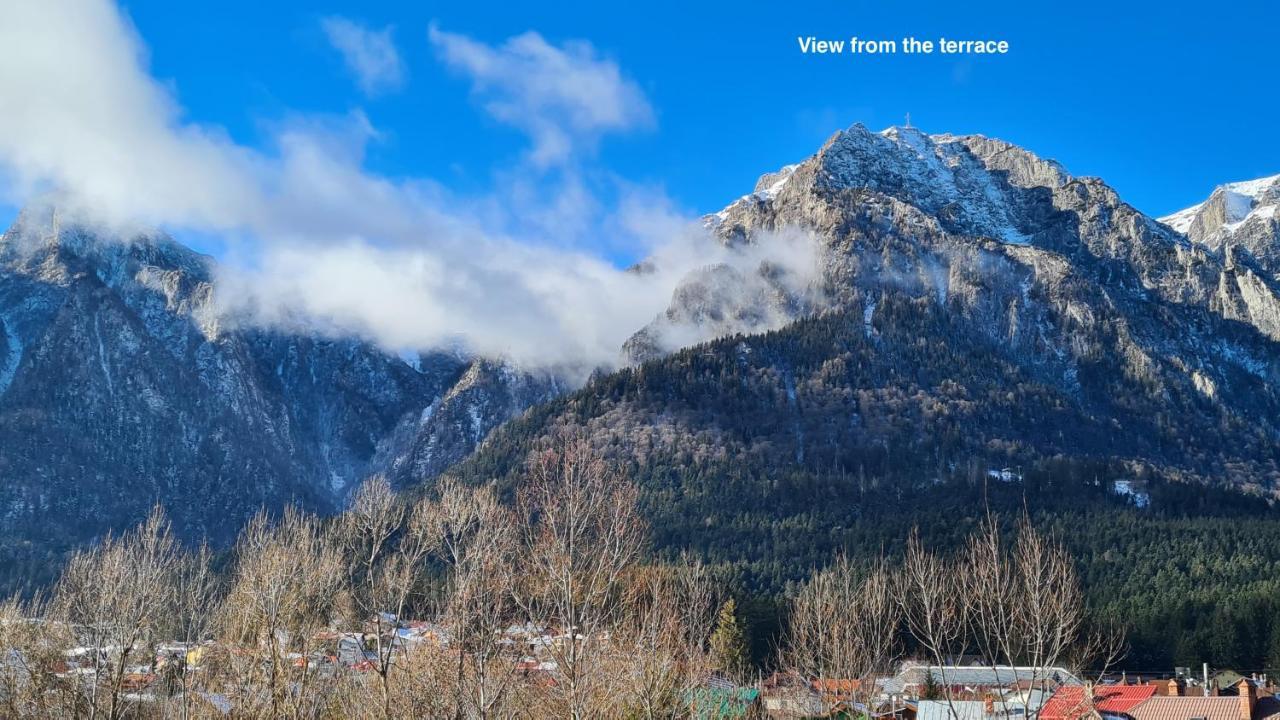 Cozy Riverfront Apartments With Garden And Mountain View Buşteni 外观 照片