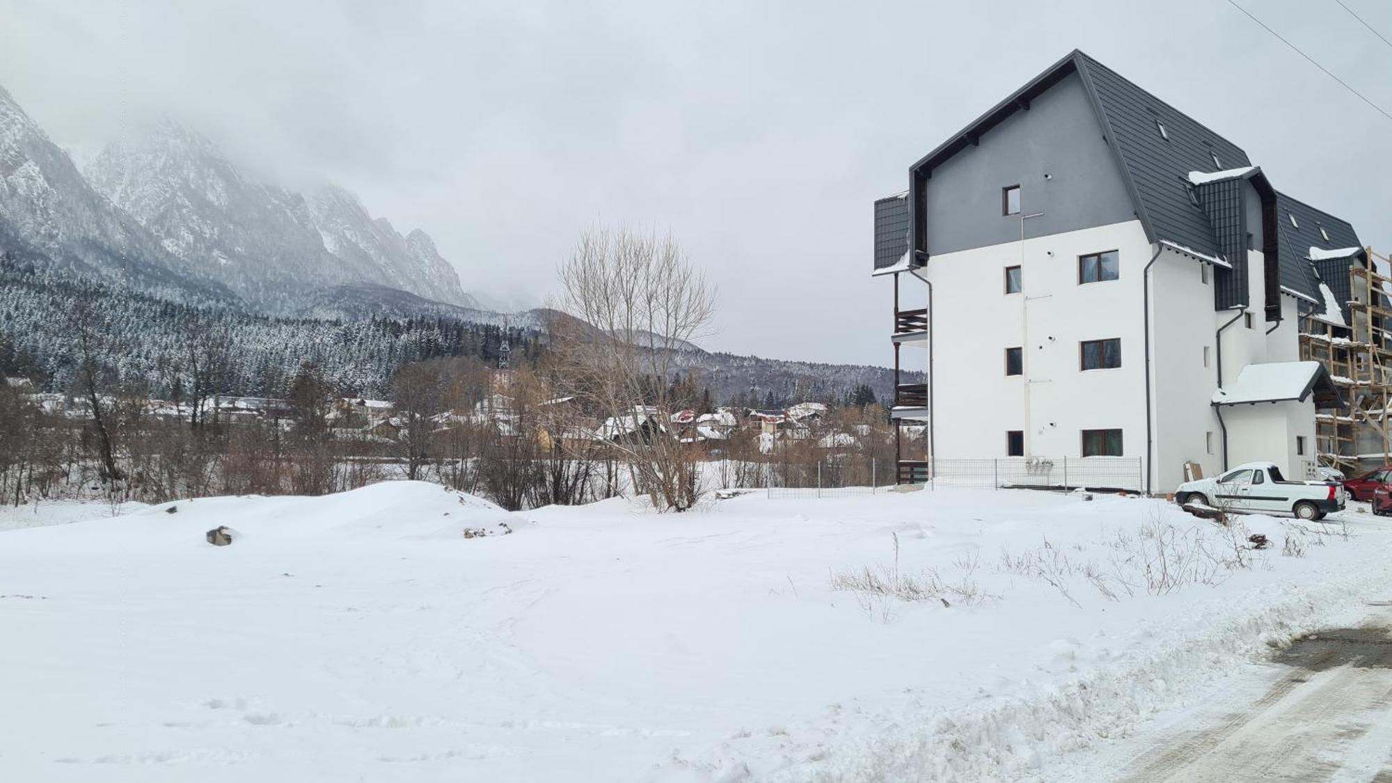 Cozy Riverfront Apartments With Garden And Mountain View Buşteni 外观 照片