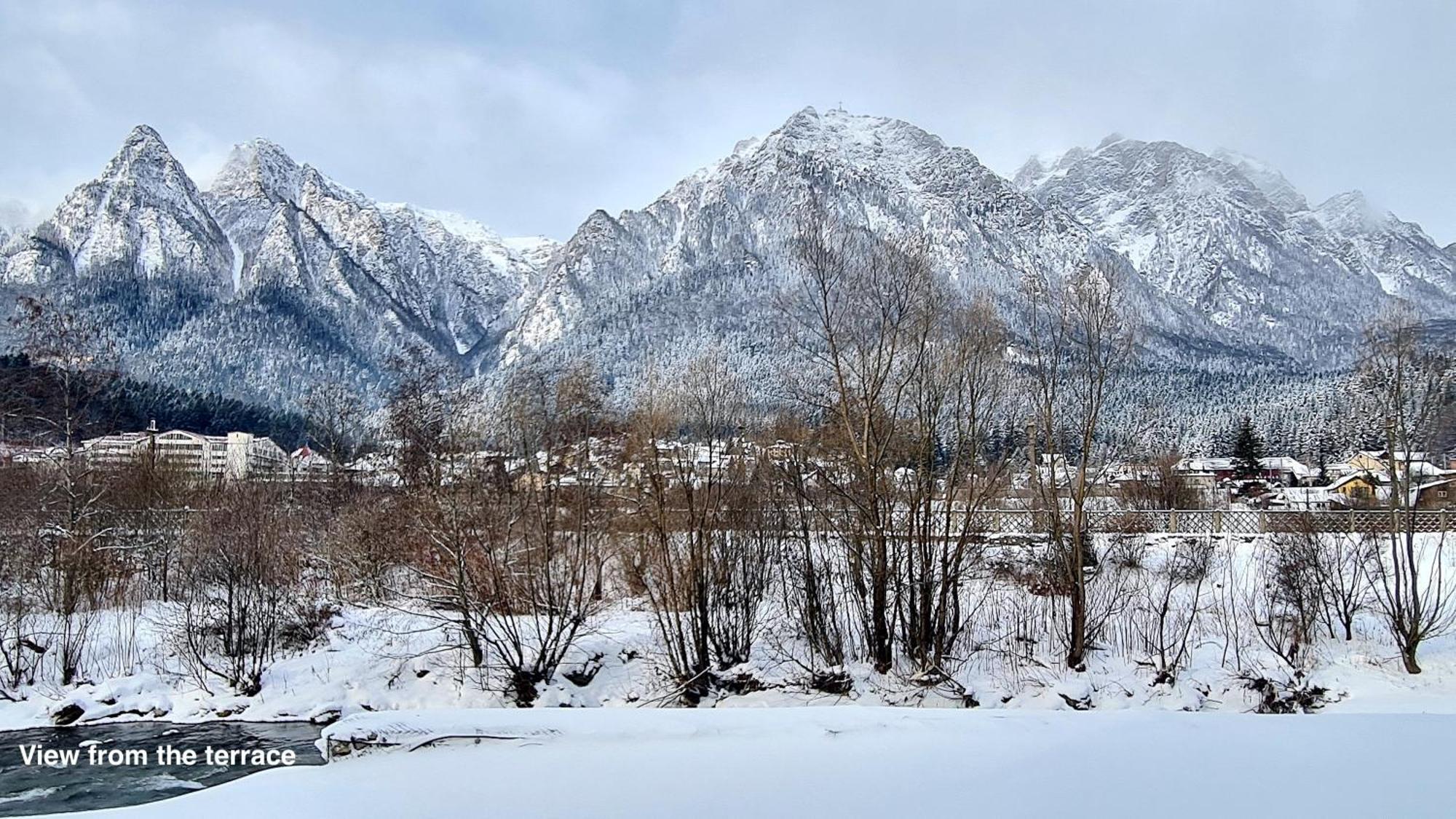 Cozy Riverfront Apartments With Garden And Mountain View Buşteni 外观 照片