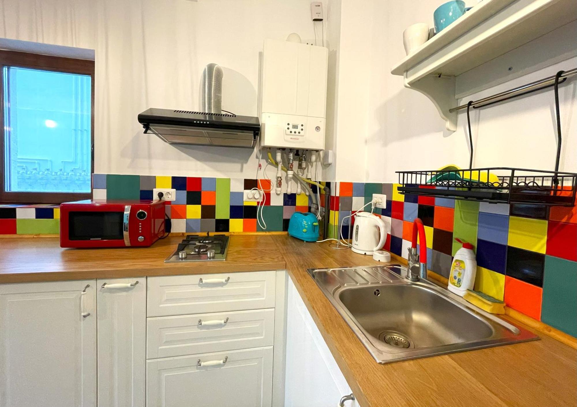 Cozy Riverfront Apartments With Garden And Mountain View Buşteni 外观 照片