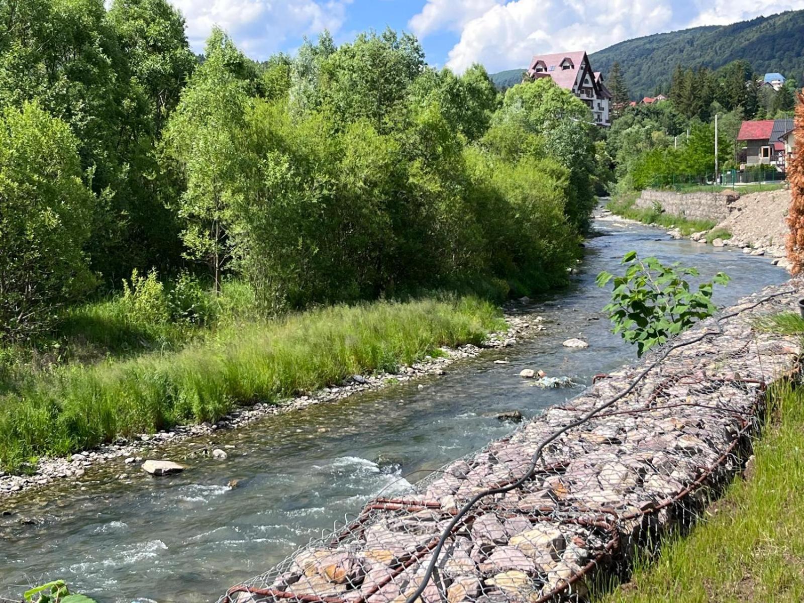 Cozy Riverfront Apartments With Garden And Mountain View Buşteni 外观 照片