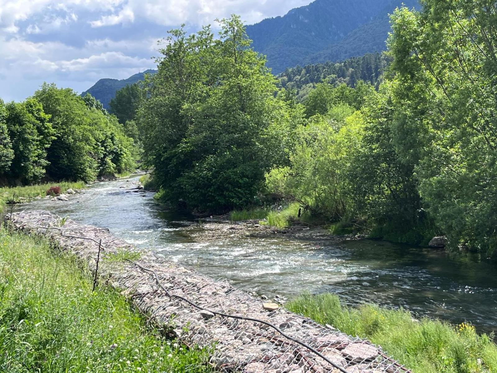 Cozy Riverfront Apartments With Garden And Mountain View Buşteni 外观 照片